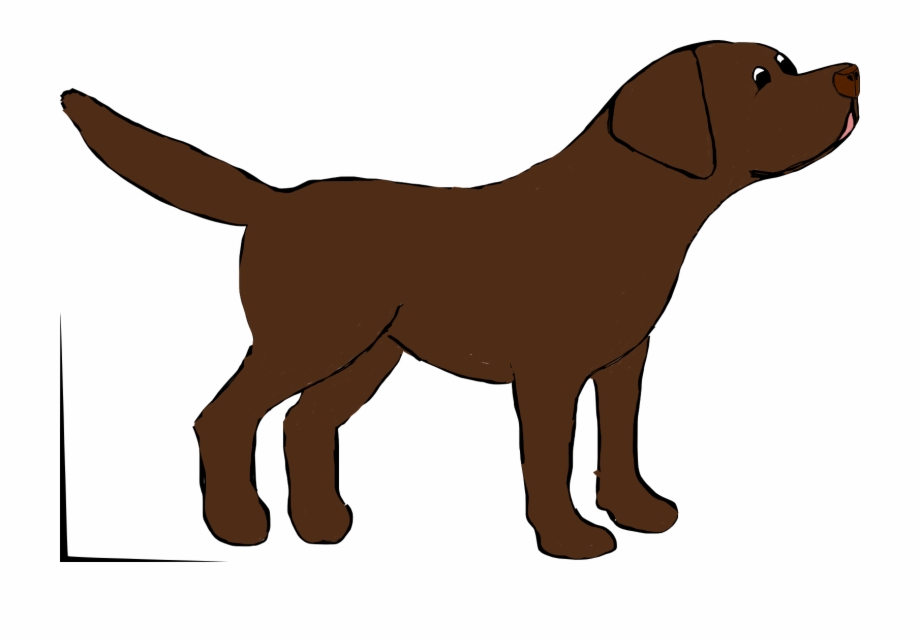 Marley The Chocolate Labrador Chocolate Lab Drawing Cartoon