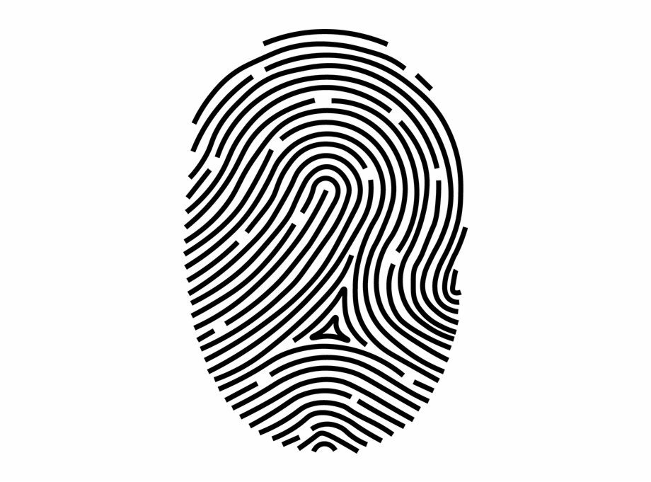 Fingerprint Png - Clip Art Library