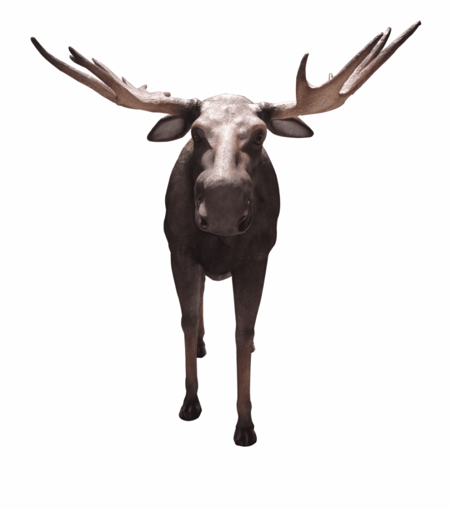 Moose Life Size Prop Resin Decor Statue Lm