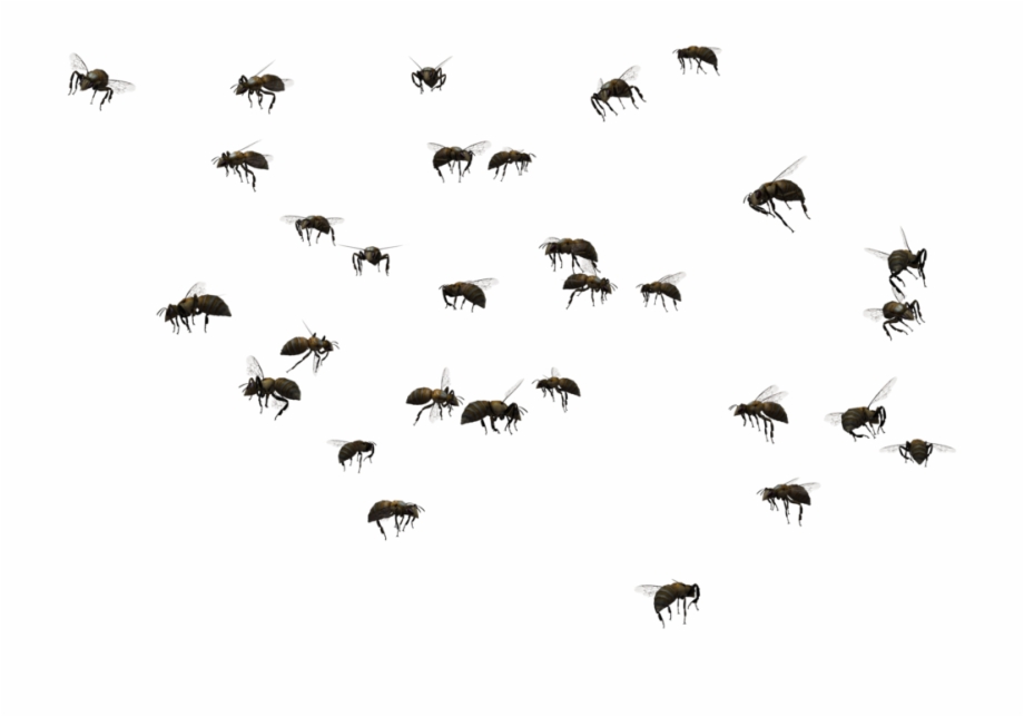Vector Paths Bee Swarm Of Bees Png