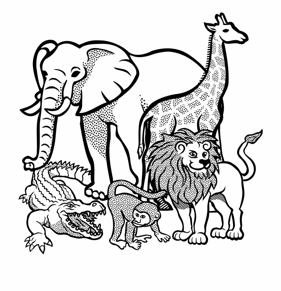 wild animals colouring pages
