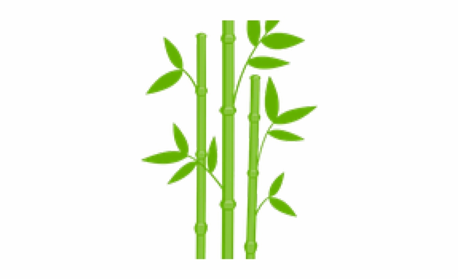 Bamboo Clipart Transparent Background Transparent Background Bamboo Clipart