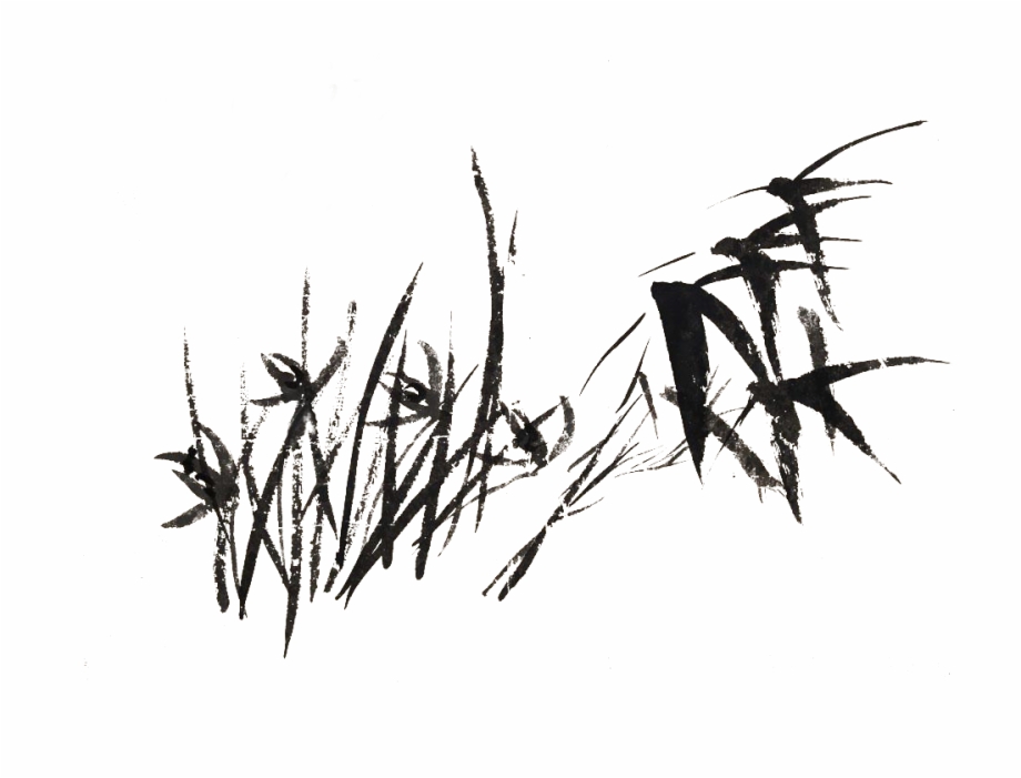 Calligraphy Vector Bamboo