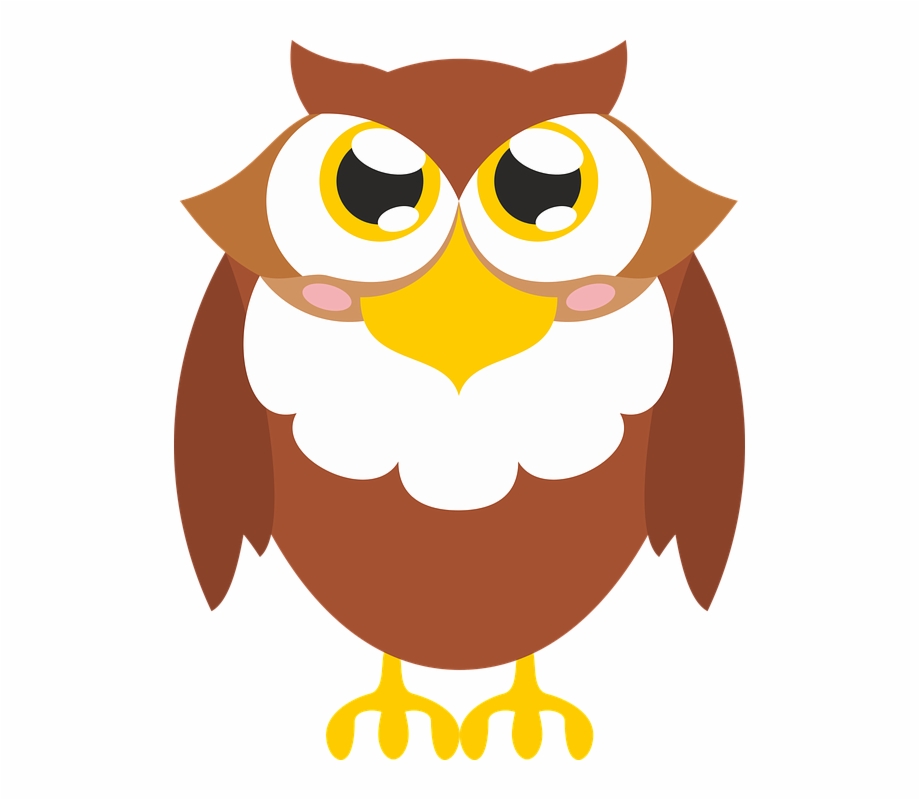 Brown Bird Owl Vector Gambar Burung Hantu Vektor