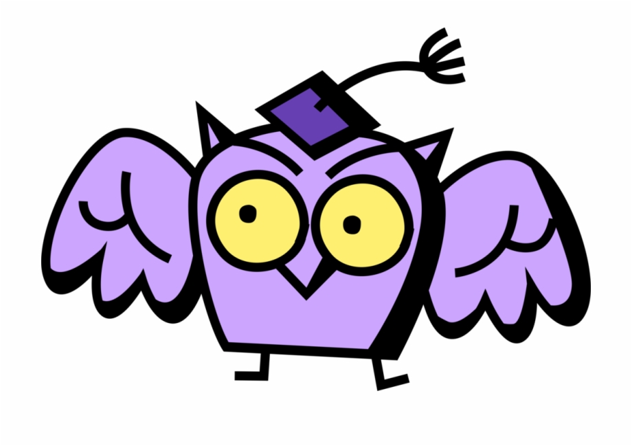 Vector Illustration Of Wise Education Owl With Graduate