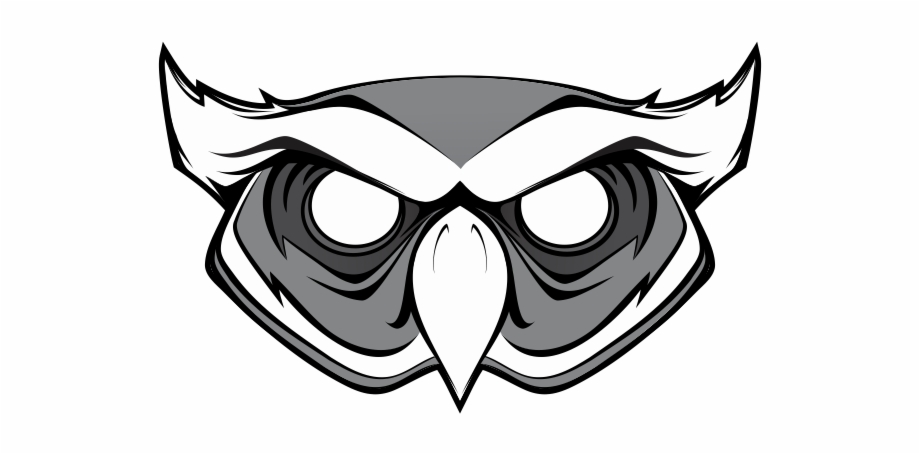 Drawing Photo Owl Head Logo Png