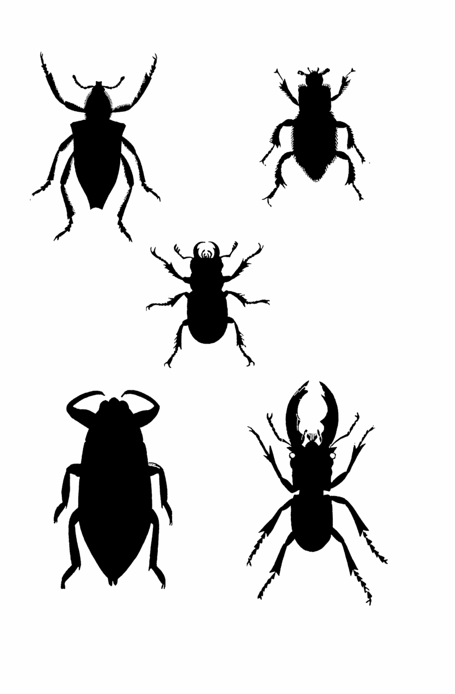 1819 Insects Silhouettes Free Vintage Clip Art Download