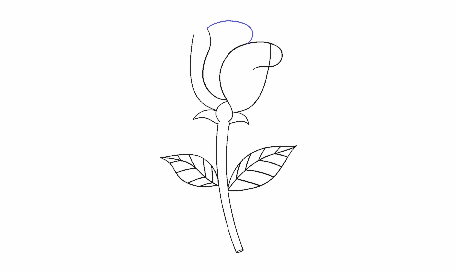 How To Draw Simple Rose Rose Drawing