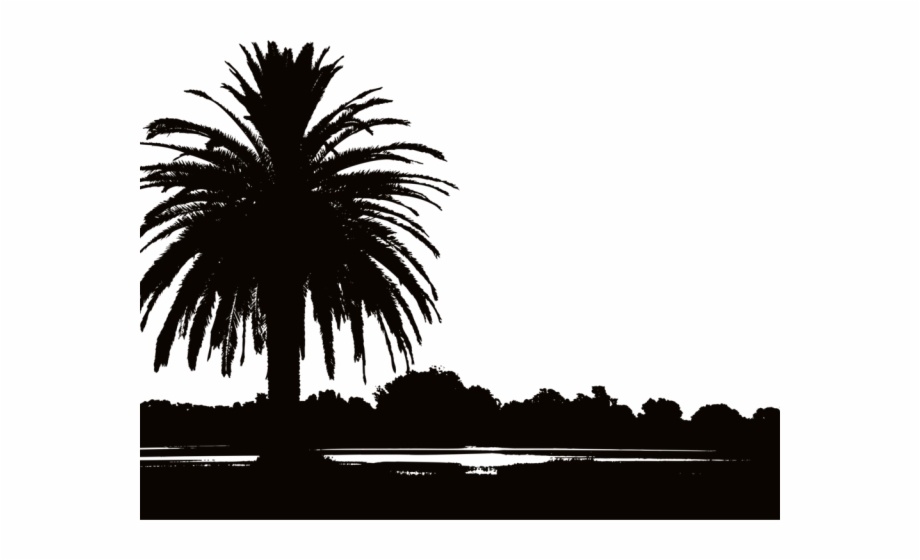 Sunset Clipart Silhouette Palm Tree Landscape