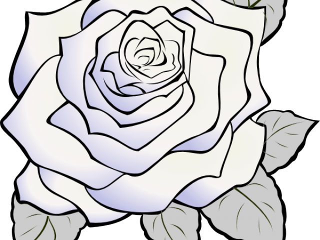 White Rose Clipart Thorn Rose Outline Transparent Background