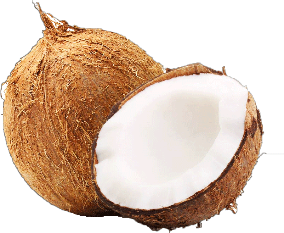 Coconut Each 