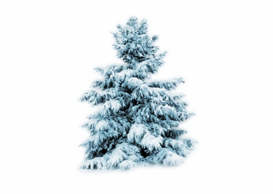 Thumb Image Transparent Snow Christmas Tree