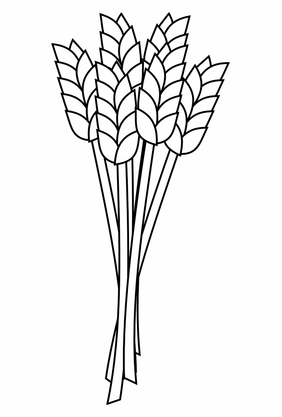Wheat Grain Agriculture Crop Png Image Wheat Clipart