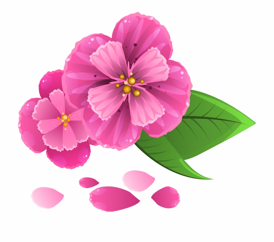 Pink Flowers Png Flowers Ideas Pink Flowers Images