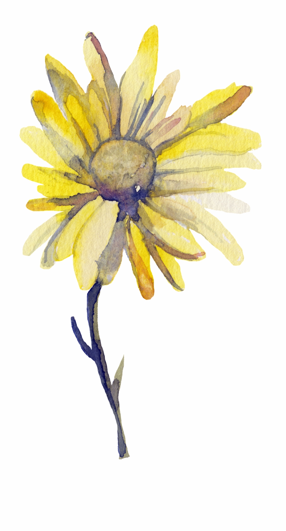 Yellow Sun Flower Transparent Decorative Watercolor Painting
