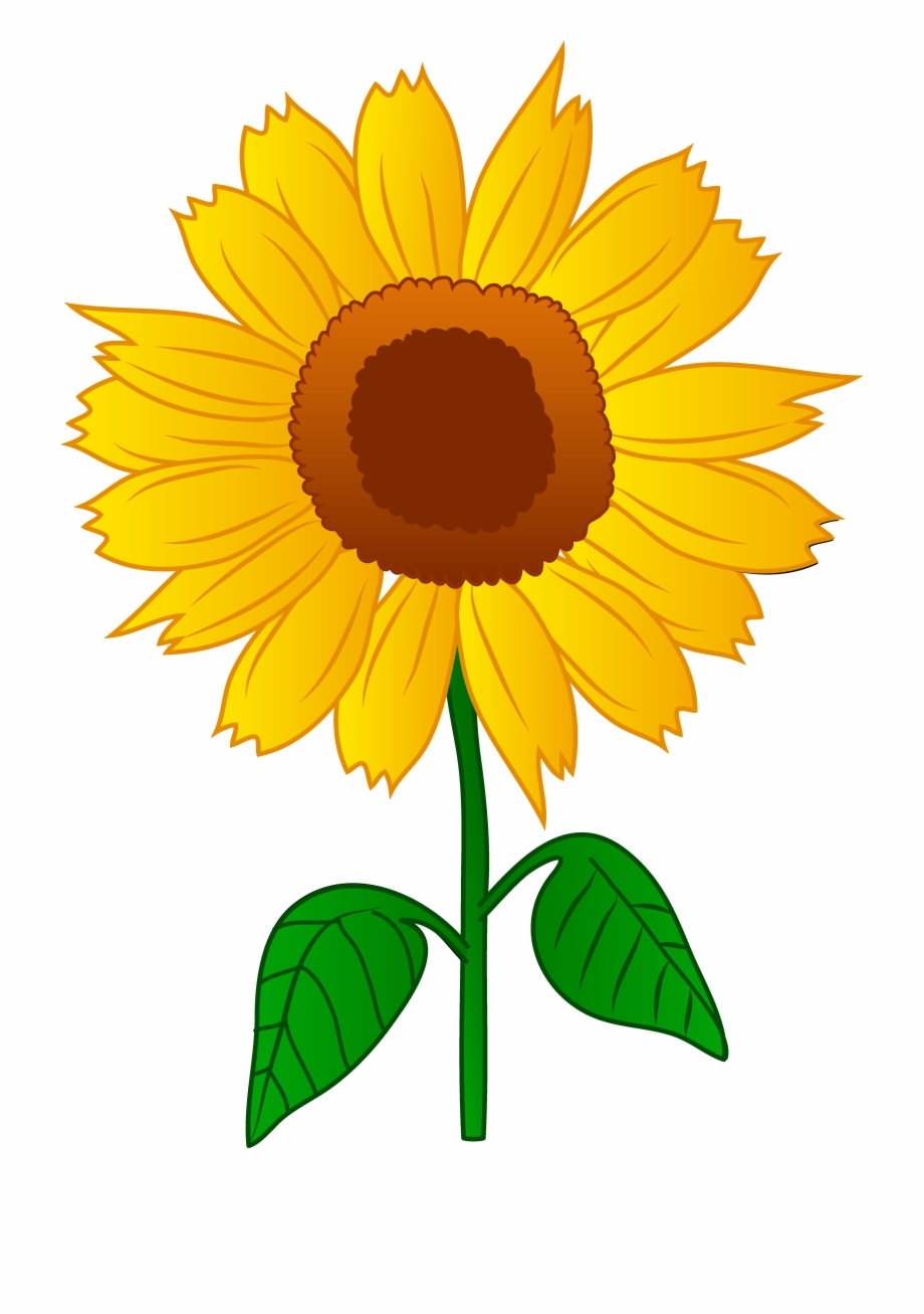 Sunflower Clip Art Free Clipart Sun Flower Clipart