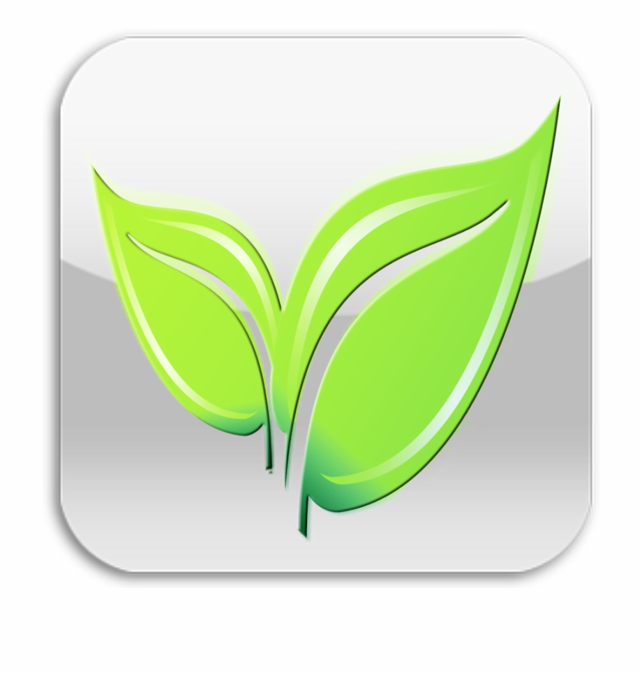 Green Leaf Icon Illustration