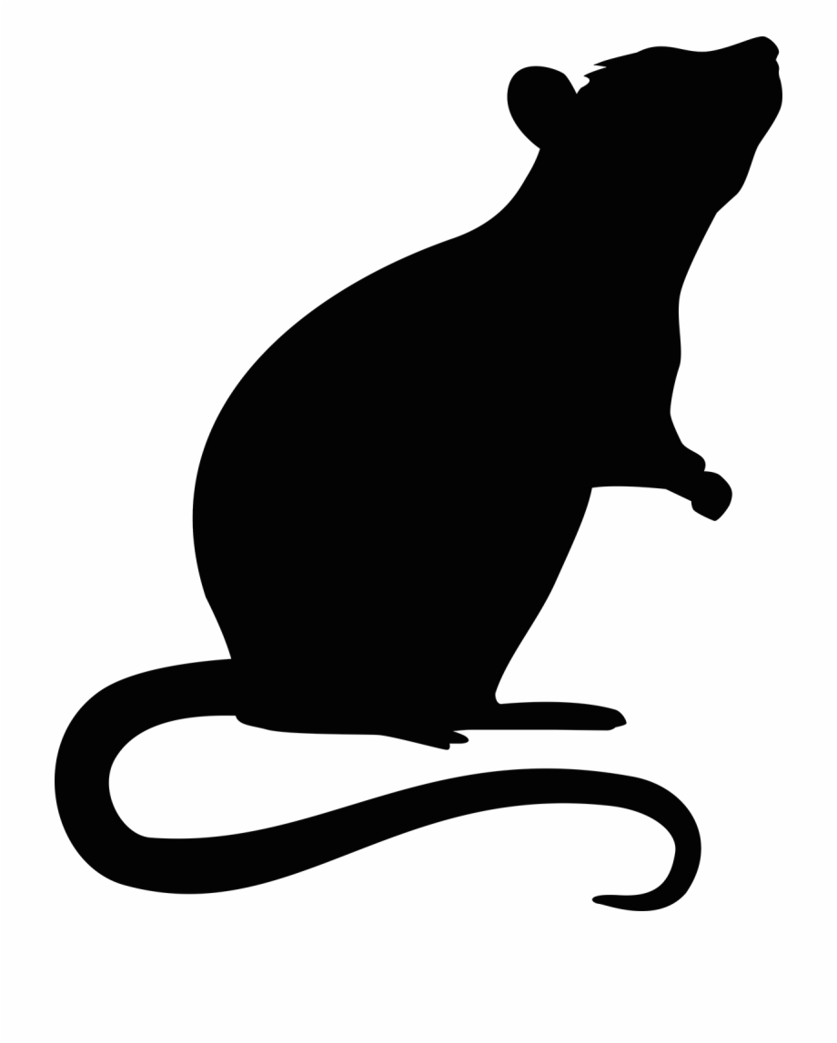 Mouse Rodent Transprent Png Free Download Rat