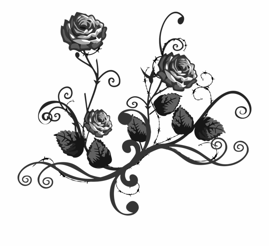 Rose Black White Floral Elegant Png Image Rose