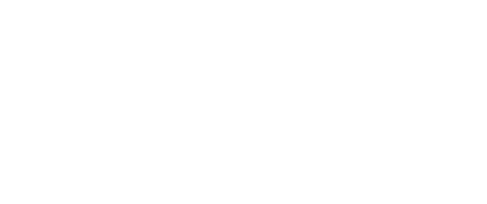 Knockout Logo Wordmark Capital One Logo White Png