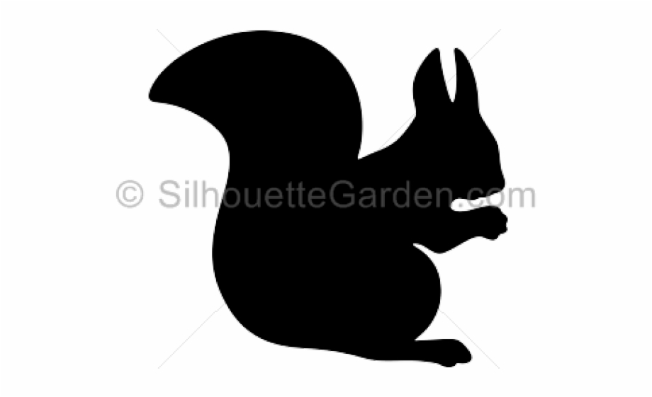 Silhouette Squirrel