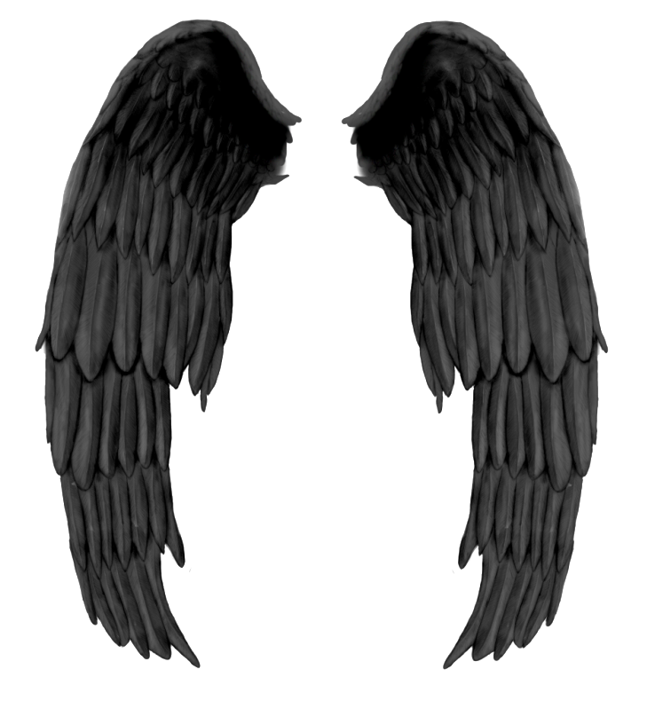 Black Wings Png