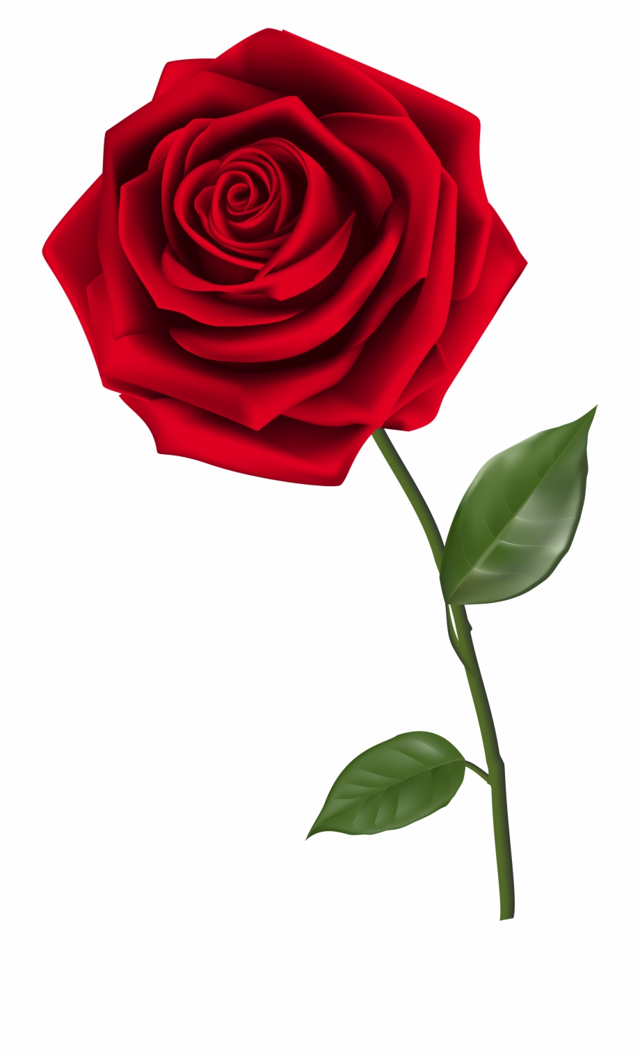 Single Red Rose Png Clipart Image Rose Png