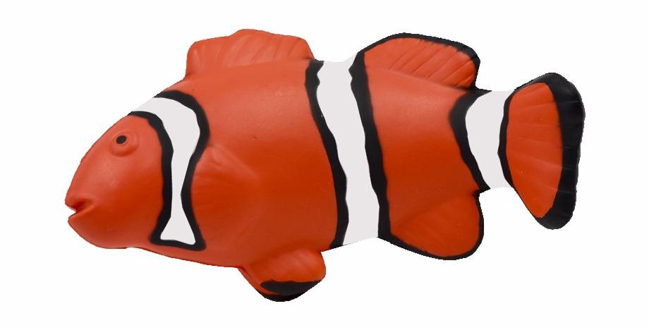 Maf 012 Clown Fish Coral Reef Fish