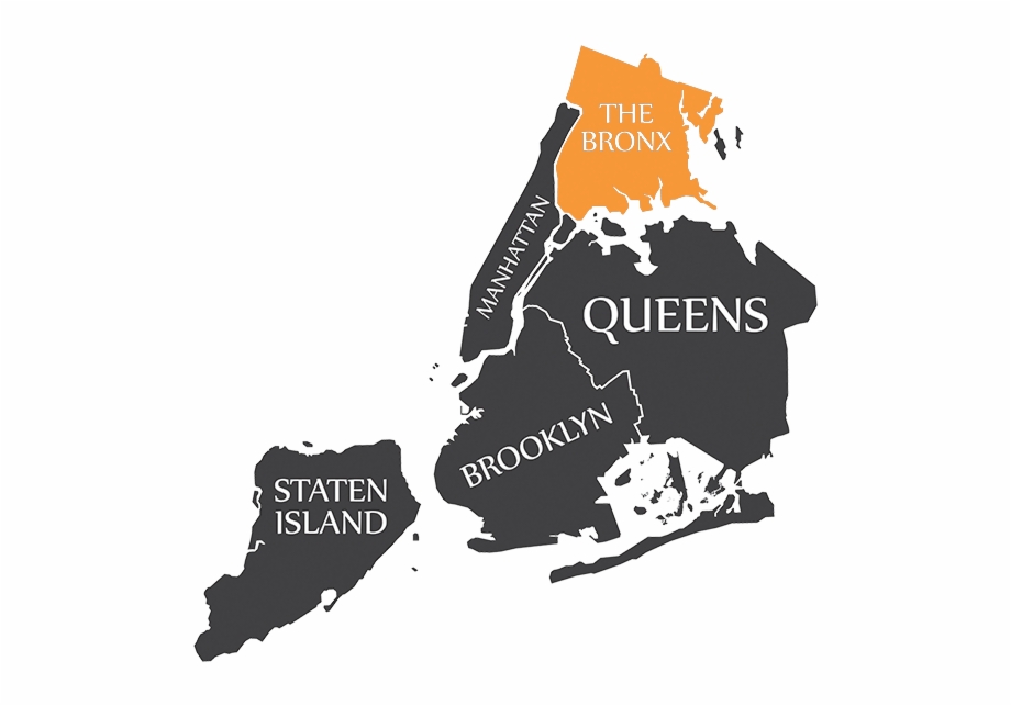 Dna Testing In The Bronx New York City