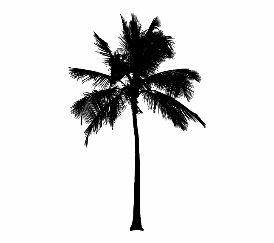 Silhouette Palm Trees Png