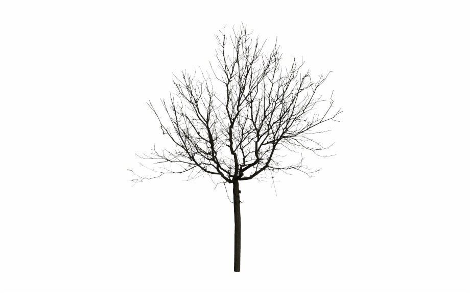 Tree Png Black And White Tree 3D Model