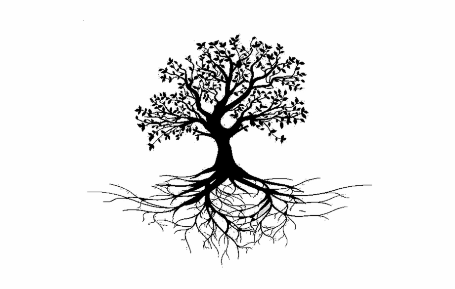 tree with roots png
