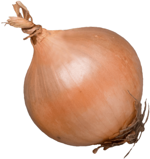 Onion Yellow Onion