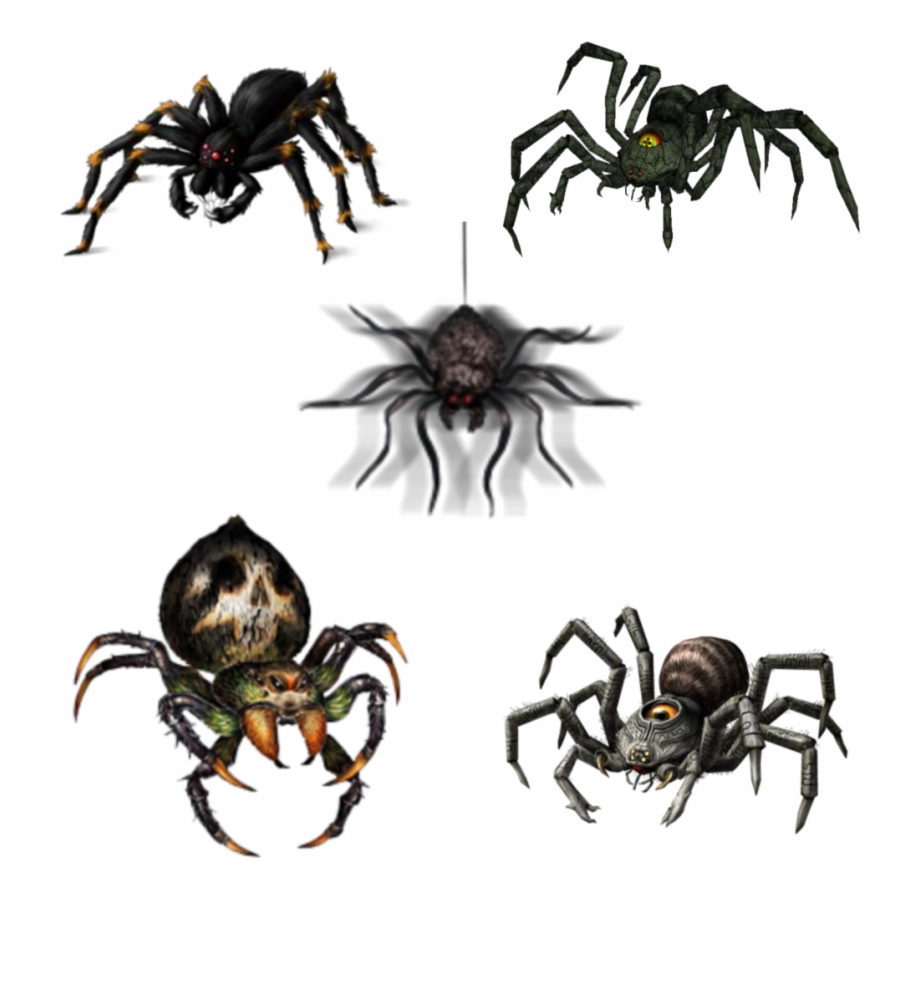 Spiders Spider Halloween Fantasyart Fantasy Makebelieve Zelda Twilight