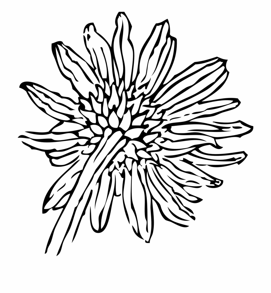 Black And White Sunflower Border Sunflower Clip Art