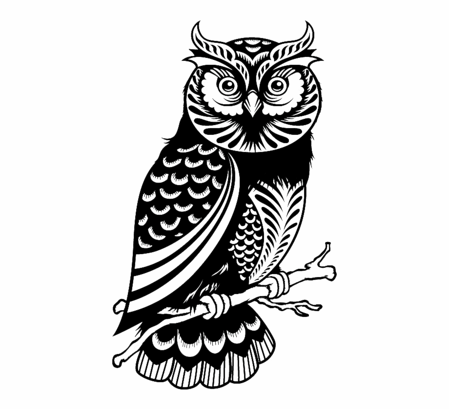 Wise Owl Png Black And White Owl Silhouette