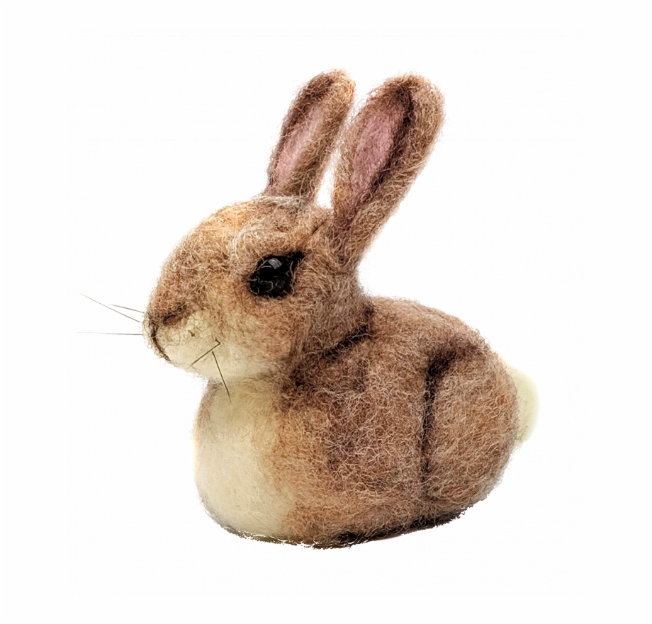 Baby Bunny Needle Felting Kit Domestic Rabbit