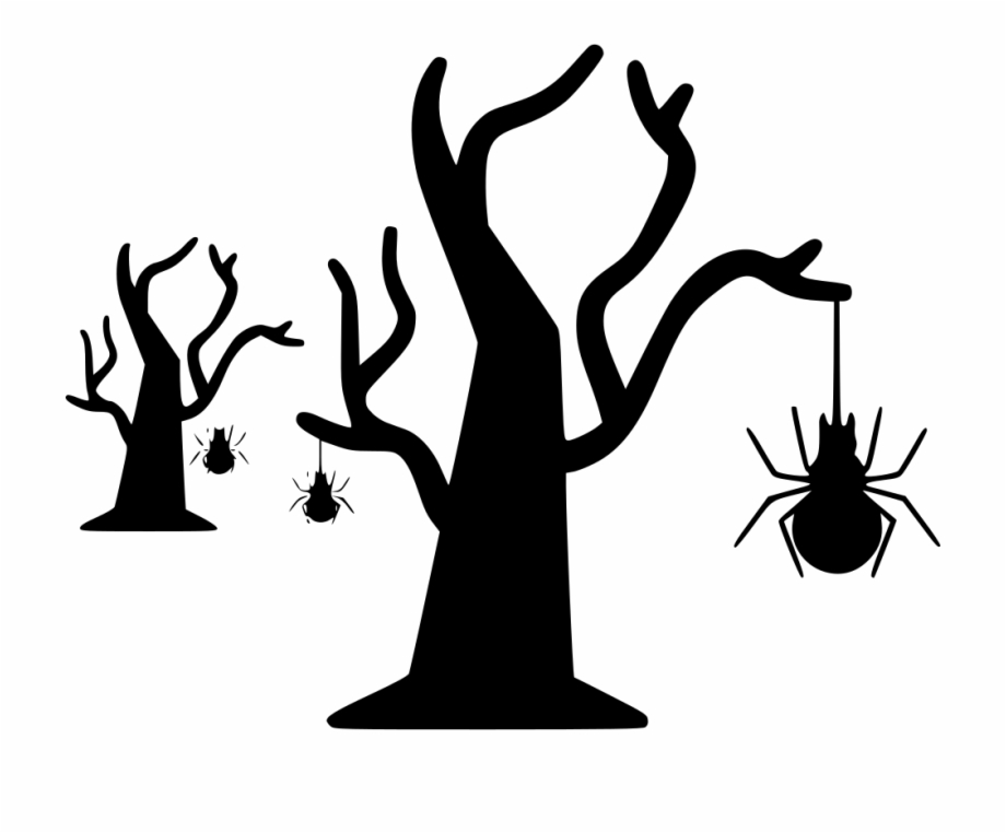 Dry Tree Png Icon Png Download Spider On