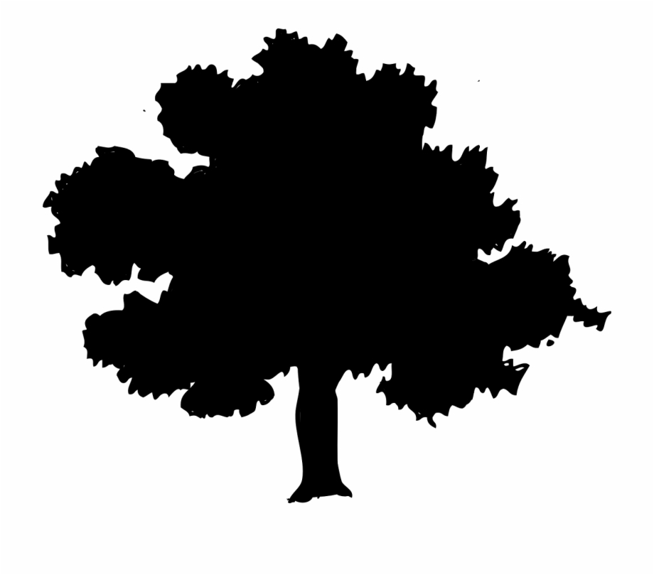 Tree Silhouette Forest Oak Elm Png Image Forest