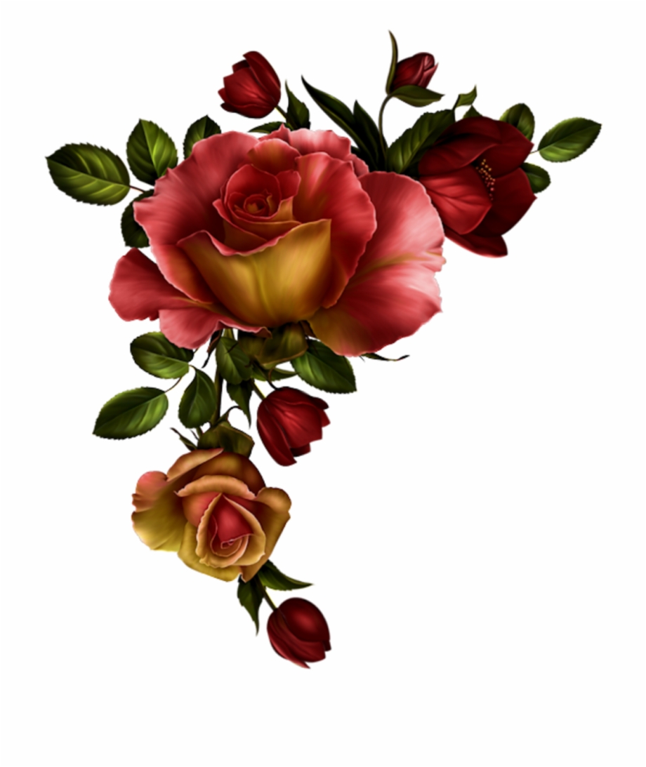Red Rose Clipart Divider Watercolor Red Roses Png