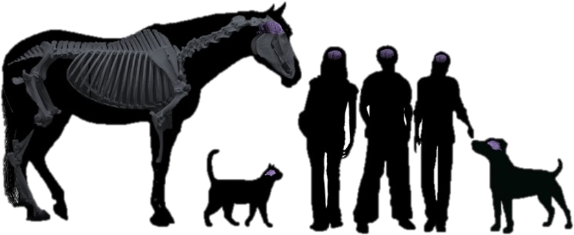Teen Vet Club Grazing Horse Silhouette Clipart