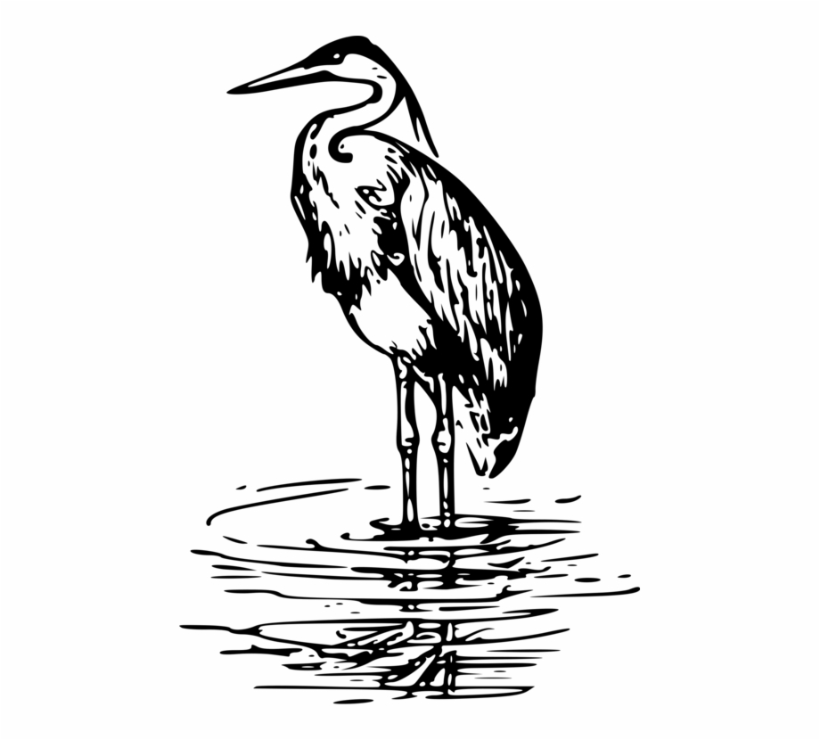 Heron Clipart Black And White