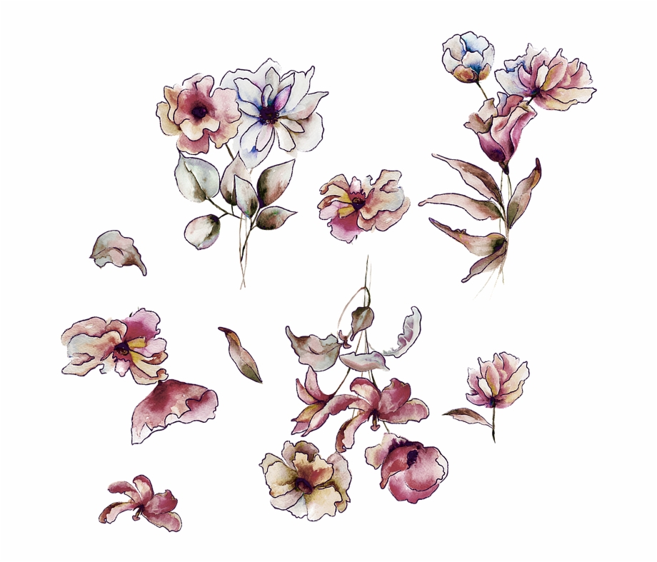 Flores Dibujo Acuarela Textiles Textil Diseo Orchid