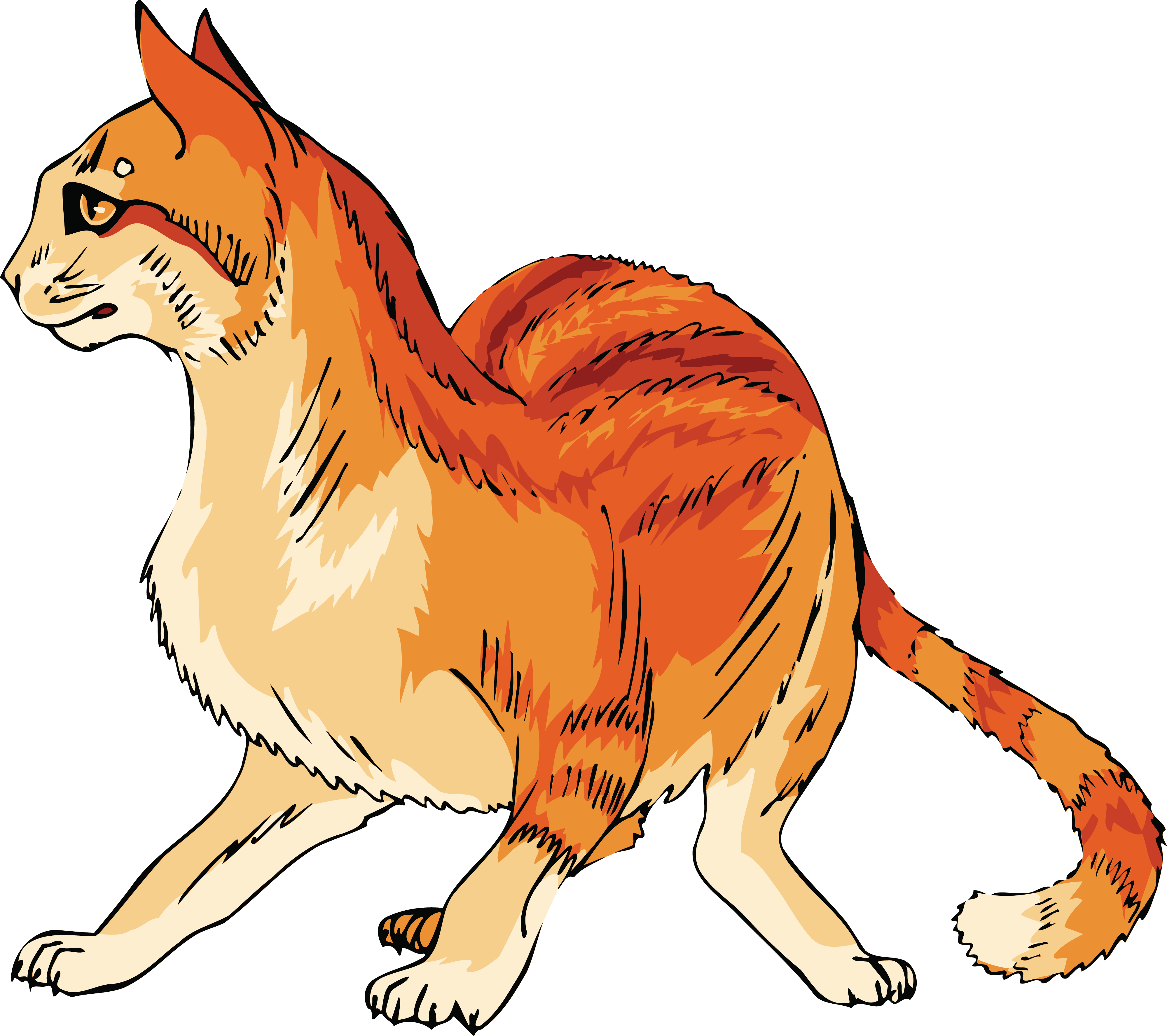 Free Clipart Of A Scared Orange Cat Cat