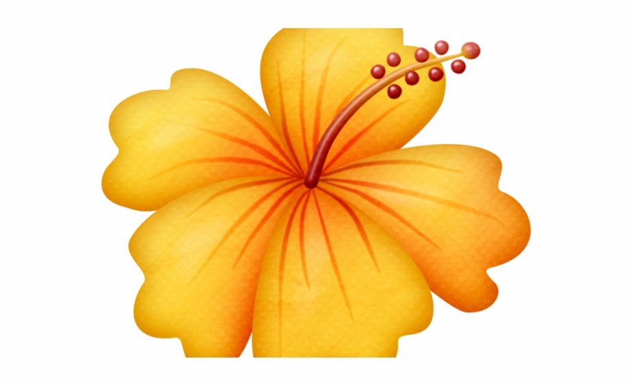 Download By Size Flower For Beach Png