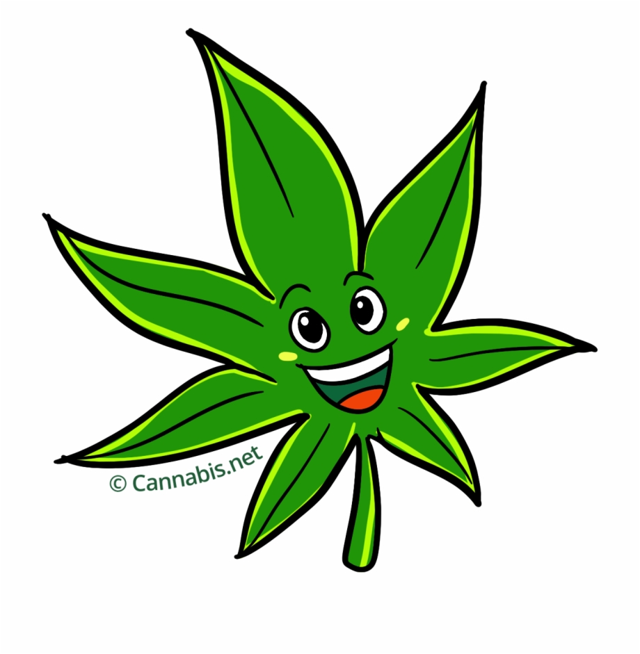 Marijuana Clipart Daun Cartoon Cannabis