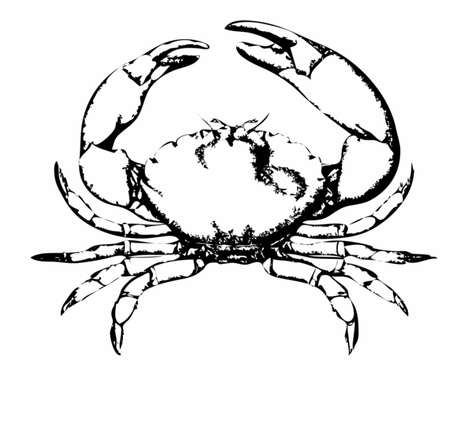 Crab Images Free Chesapeake Blue Crab Red King