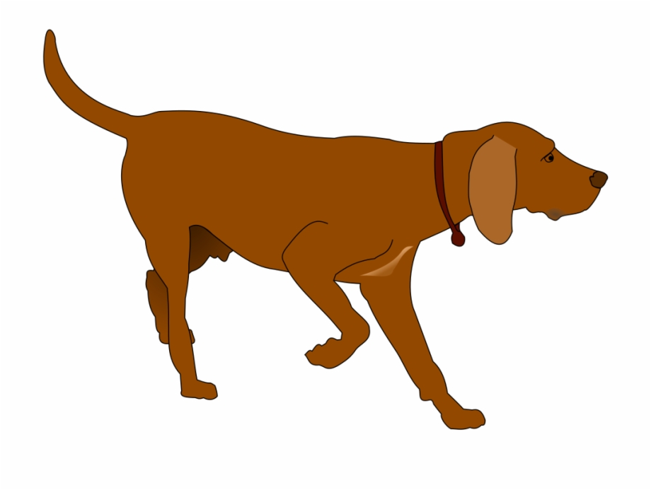 German Shorthaired Pointer Clipart At Getdrawings Hunting Dog