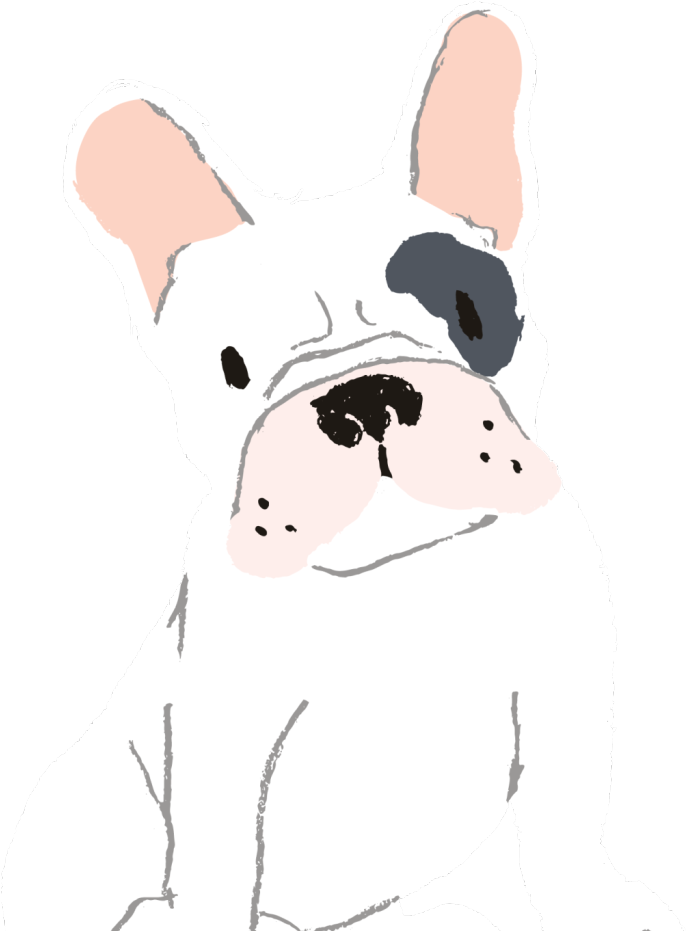 Hand Drawn Cute Cartoon Dog Vector Image French