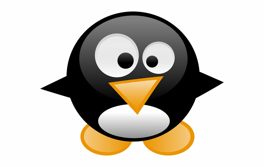 Penguin Tux Animal Linux Cartoon Bird Cute Funny